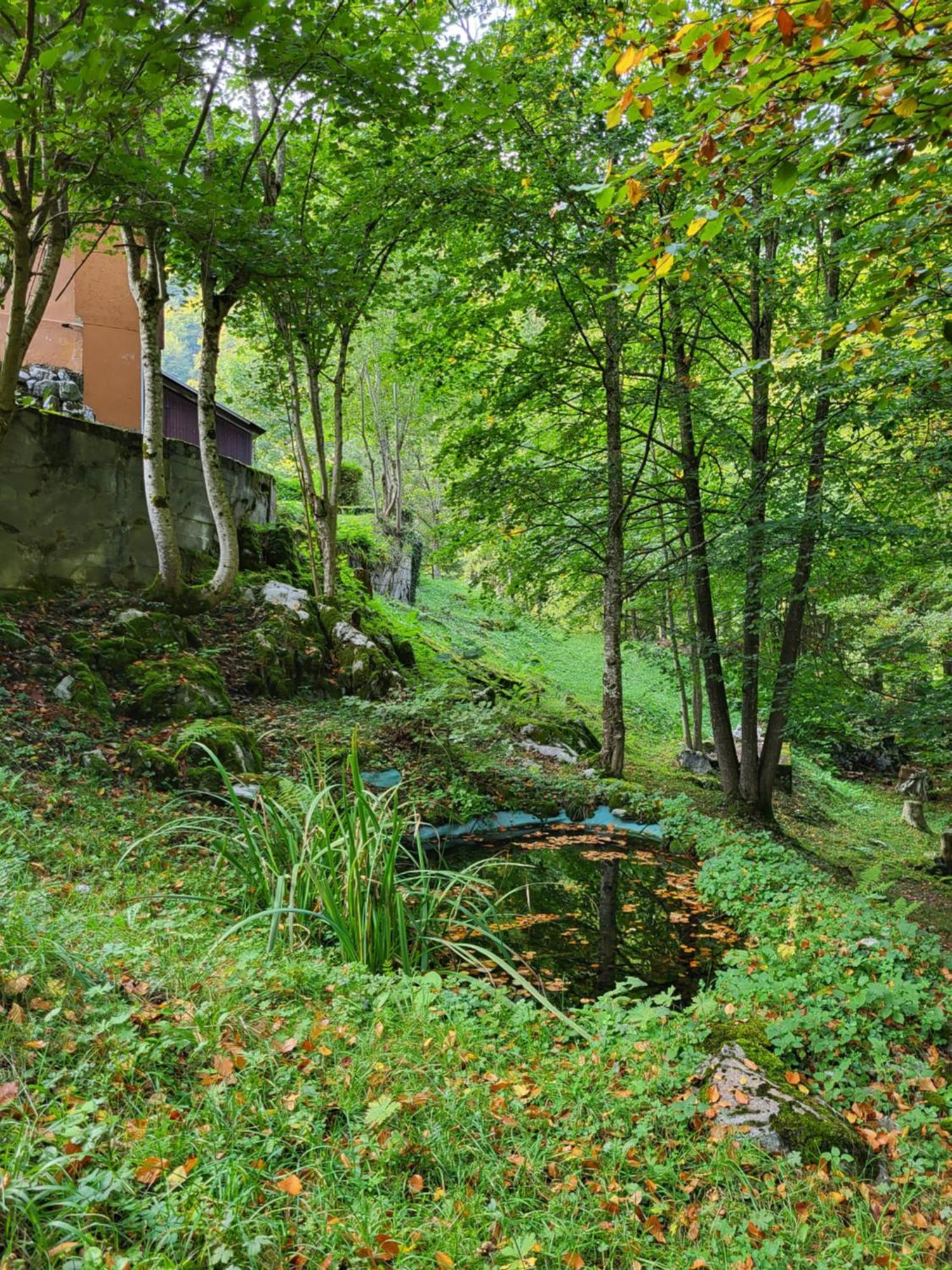 Ferienhaus Baerschwendi Lungern Exterior foto
